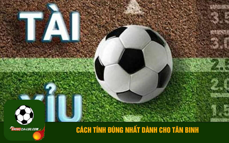 Cách tính đúng nhất dành cho tân binh