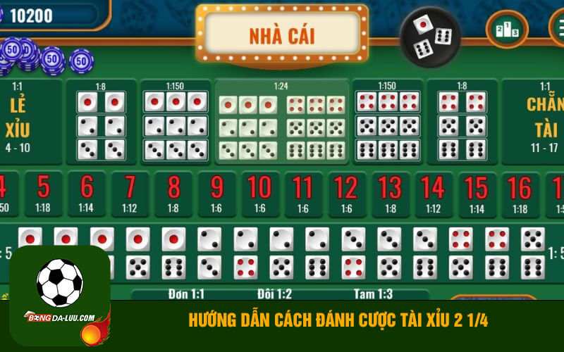 Hướng dẫn cách đánh cược tài xỉu 2 1/4