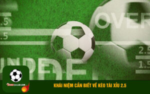 Khái niệm cần biết về kèo tài xỉu 2.5