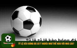 Tỷ lệ kèo bóng đá có ý nghĩa như thế nào với nhà cái?