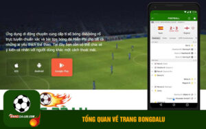 Tổng quan về trang bongdalu
