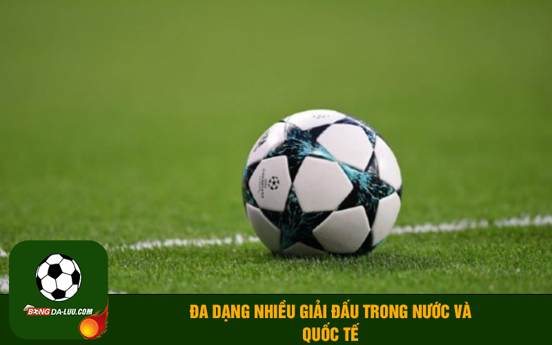 Đa dạng nhiều giải đấu trong nước và quốc tế