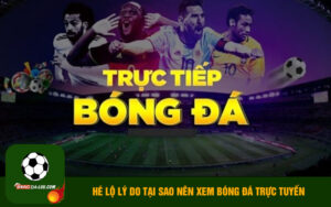 Tại sao bạn nên theo dõi bóng đá online