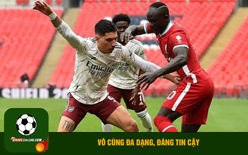 Vô cùng đa dạng, đáng tin cậy