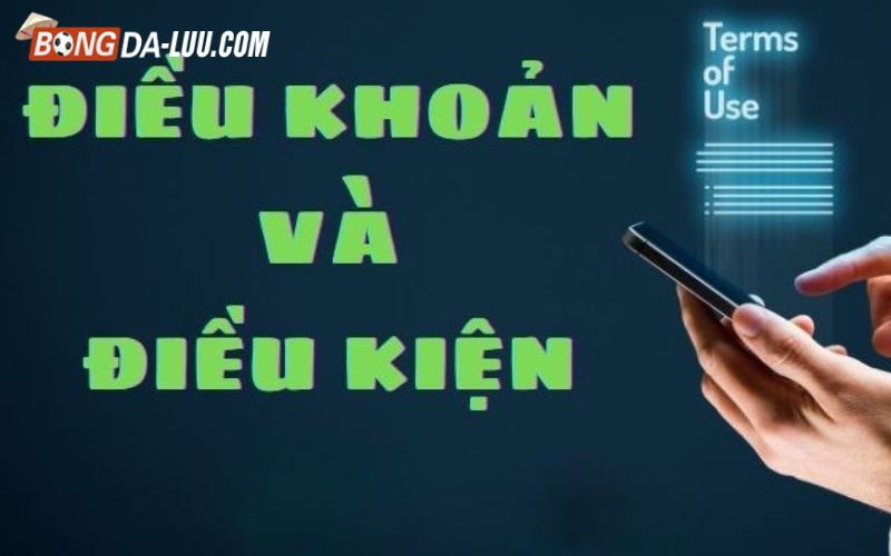 Điều khoản và điều kiện Sodocasino đối với người chơi